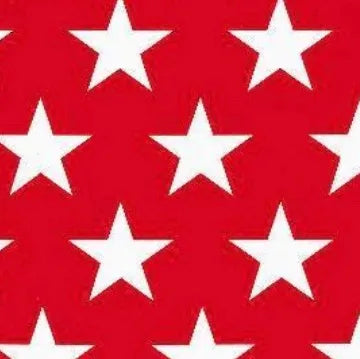 Red White Stars Special Needs Swimsuit